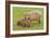 Capybara with Young-null-Framed Photographic Print