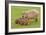 Capybara with Young-null-Framed Photographic Print