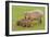 Capybara with Young-null-Framed Photographic Print