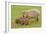 Capybara with Young-null-Framed Photographic Print