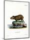 Premium Giclee Print