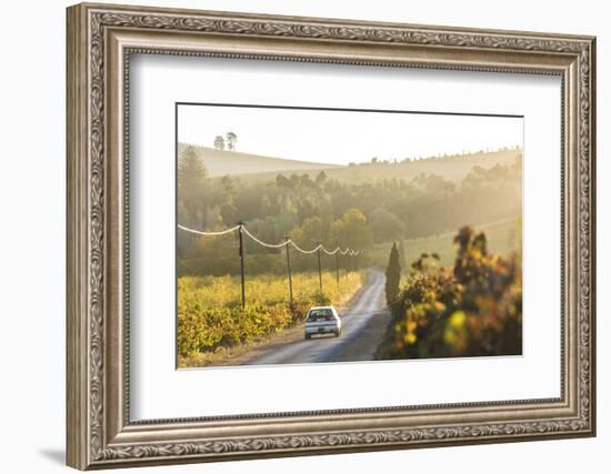 Car and Road Through Winelands and Vineyards, Nr Franschoek, Western Cape Province, South Africa-Peter Adams-Framed Photographic Print