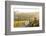 Car and Road Through Winelands and Vineyards, Nr Franschoek, Western Cape Province, South Africa-Peter Adams-Framed Photographic Print