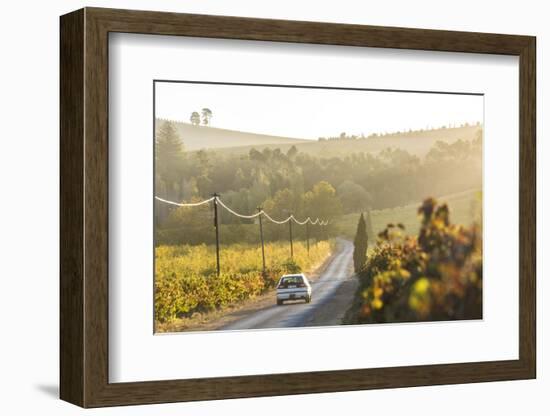 Car and Road Through Winelands and Vineyards, Nr Franschoek, Western Cape Province, South Africa-Peter Adams-Framed Photographic Print