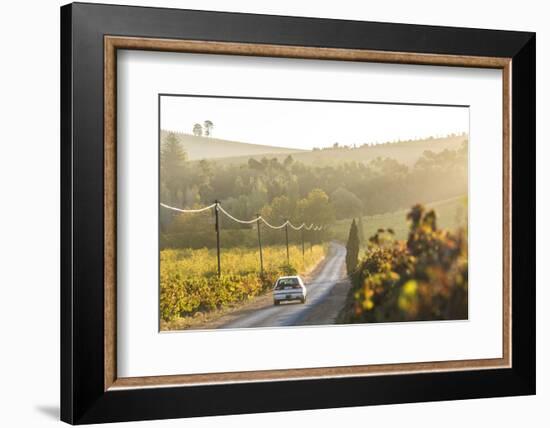 Car and Road Through Winelands and Vineyards, Nr Franschoek, Western Cape Province, South Africa-Peter Adams-Framed Photographic Print