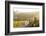 Car and Road Through Winelands and Vineyards, Nr Franschoek, Western Cape Province, South Africa-Peter Adams-Framed Photographic Print