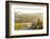 Car and Road Through Winelands and Vineyards, Nr Franschoek, Western Cape Province, South Africa-Peter Adams-Framed Photographic Print