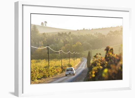 Car and Road Through Winelands and Vineyards, Nr Franschoek, Western Cape Province, South Africa-Peter Adams-Framed Photographic Print