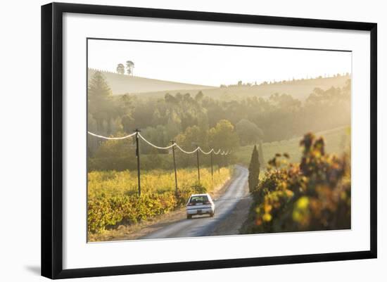 Car and Road Through Winelands and Vineyards, Nr Franschoek, Western Cape Province, South Africa-Peter Adams-Framed Photographic Print