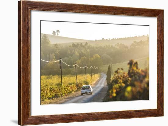 Car and Road Through Winelands and Vineyards, Nr Franschoek, Western Cape Province, South Africa-Peter Adams-Framed Photographic Print