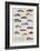 Car Cartography II-Clara Wells-Framed Art Print