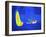 Car Exhaust, Thermogram-Tony McConnell-Framed Photographic Print