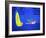 Car Exhaust, Thermogram-Tony McConnell-Framed Photographic Print