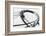 Car Going Through Roller Coaster Loop-null-Framed Photographic Print