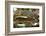 Car Graveyard III-James McLoughlin-Framed Photographic Print