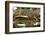 Car Graveyard III-James McLoughlin-Framed Photographic Print