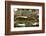 Car Graveyard III-James McLoughlin-Framed Photographic Print