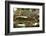 Car Graveyard III-James McLoughlin-Framed Photographic Print