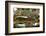 Car Graveyard III-James McLoughlin-Framed Photographic Print