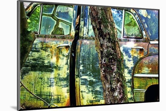 Car Graveyard VIII-James McLoughlin-Mounted Photographic Print