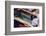 Car Graveyard XIV-James McLoughlin-Framed Photographic Print