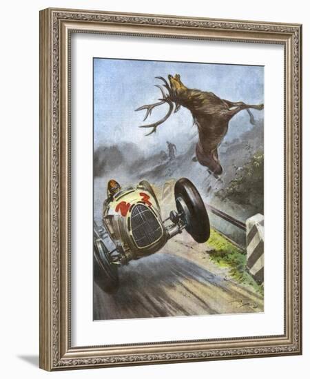 Car Hits Stag-Vittorio Pisani-Framed Art Print