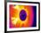 Car Wheel, Thermogram-Tony McConnell-Framed Photographic Print