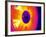 Car Wheel, Thermogram-Tony McConnell-Framed Photographic Print