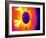 Car Wheel, Thermogram-Tony McConnell-Framed Photographic Print