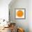 Cara Cara Orange Slice-Steve Gadomski-Framed Photographic Print displayed on a wall