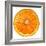 Cara Cara Orange Slice-Steve Gadomski-Framed Photographic Print