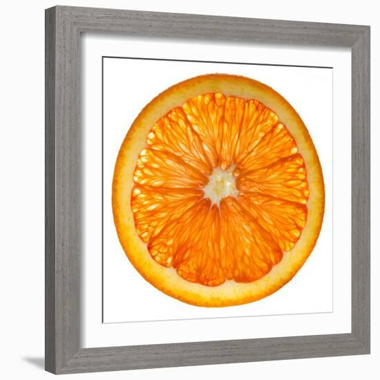 Cara Cara Orange Slice-Steve Gadomski-Framed Photographic Print