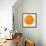 Cara Cara Orange Slice-Steve Gadomski-Framed Photographic Print displayed on a wall