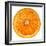 Cara Cara Orange Slice-Steve Gadomski-Framed Photographic Print