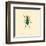 Carabus Cyaneus-A^ Poiteau-Framed Art Print