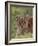 Caracal (Caracal Caracal), Serengeti National Park, Tanzania, East Africa, Africa-James Hager-Framed Photographic Print