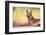 Caracal-Hillebrand Breuker-Framed Photographic Print