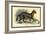 Caracal-Sir William Jardine-Framed Art Print