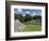 Caracol Ancient Mayan Site, Belize-William Sutton-Framed Photographic Print