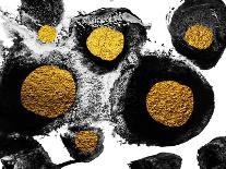 Art&Gold. Painting. Natural Luxury. Black Paint Stroke Texture on White Paper. Abstract Hand Painte-CARACOLLA-Art Print