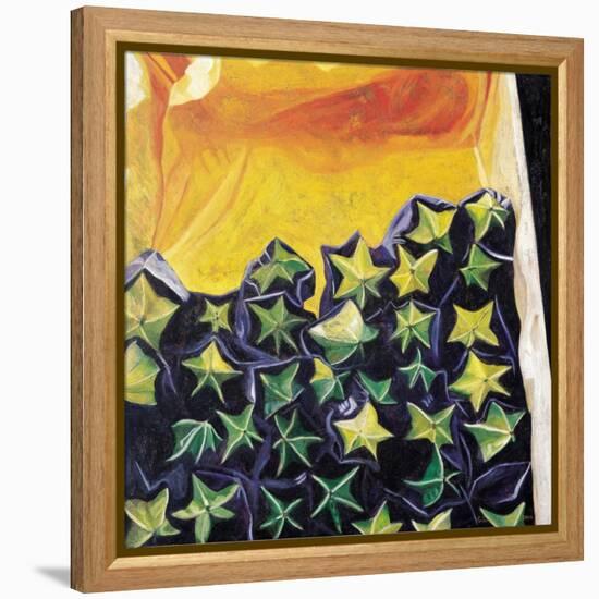 Carambolas, 2002-Pedro Diego Alvarado-Framed Premier Image Canvas