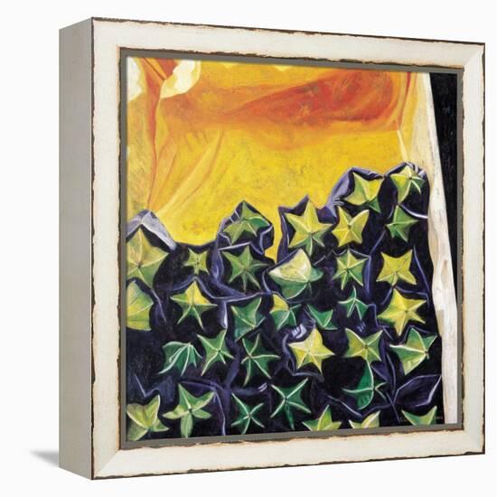 Carambolas, 2002-Pedro Diego Alvarado-Framed Premier Image Canvas