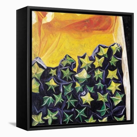 Carambolas, 2002-Pedro Diego Alvarado-Framed Premier Image Canvas