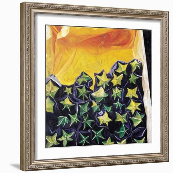 Carambolas, 2002-Pedro Diego Alvarado-Framed Giclee Print