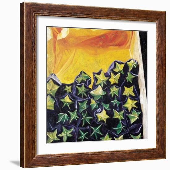 Carambolas, 2002-Pedro Diego Alvarado-Framed Giclee Print