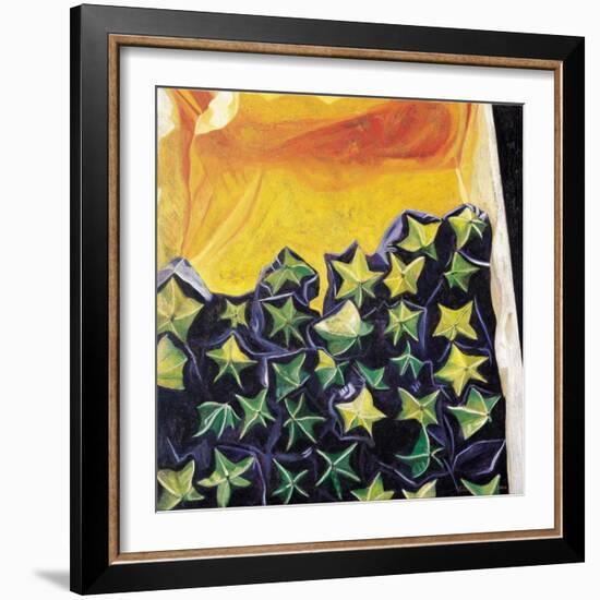 Carambolas, 2002-Pedro Diego Alvarado-Framed Giclee Print