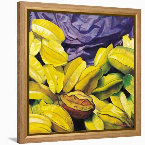 Carambolas, 2004-Pedro Diego Alvarado-Framed Premier Image Canvas