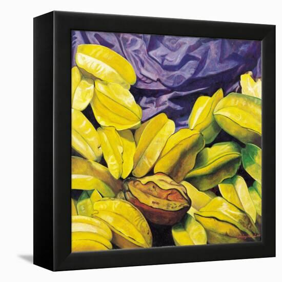 Carambolas, 2004-Pedro Diego Alvarado-Framed Premier Image Canvas