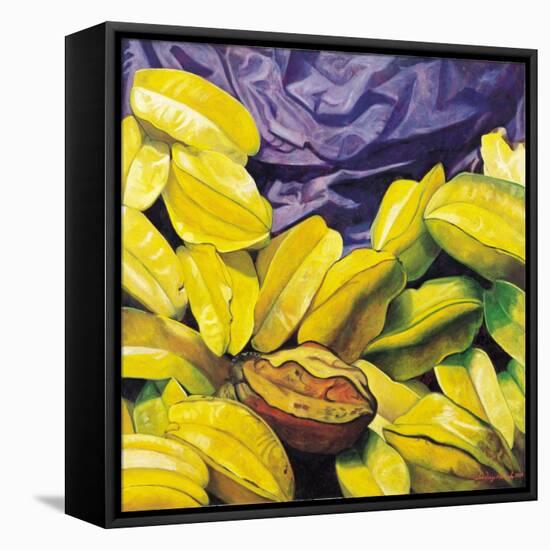 Carambolas, 2004-Pedro Diego Alvarado-Framed Premier Image Canvas