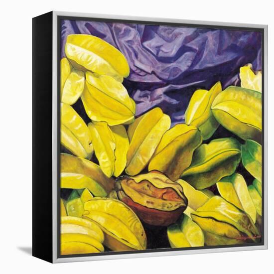 Carambolas, 2004-Pedro Diego Alvarado-Framed Premier Image Canvas